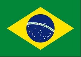 Portugu&ecirc;s